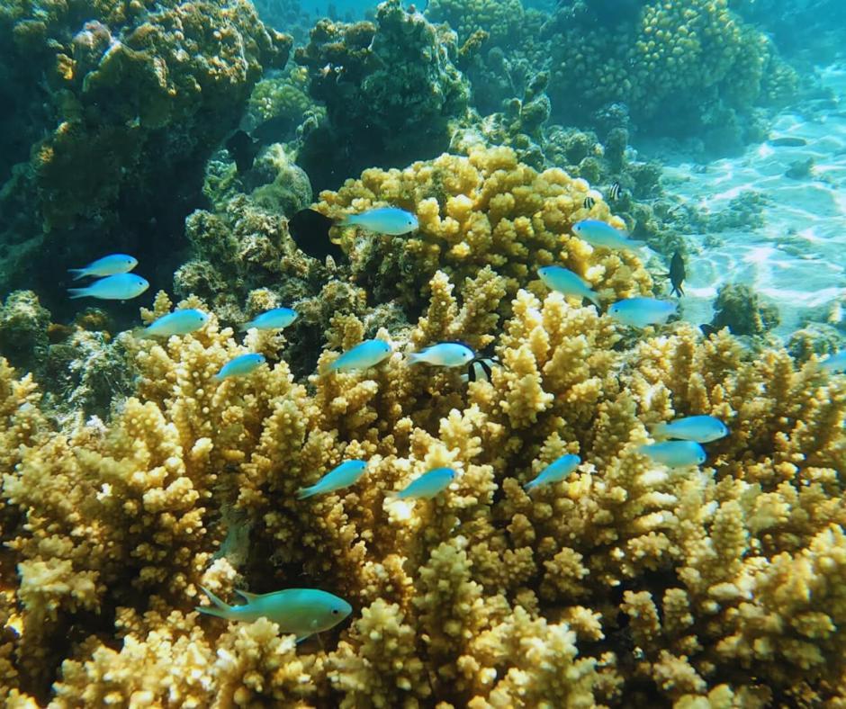 Resort Tava'E Amuri Exteriér fotografie